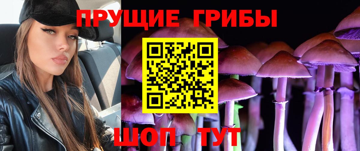 Псилоцибиновые грибы мухоморы  Вход с VPN  Фурманов  Галлюциногенные грибы GOLDEN TEACHER 